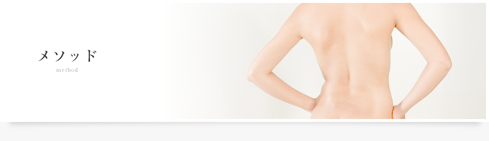 プレミアムダイエットのメソッド