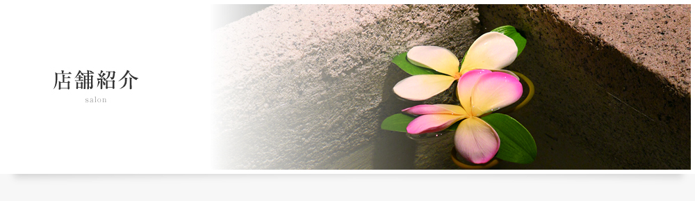 店舗紹介