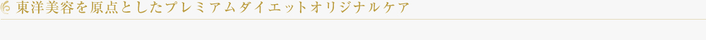 東洋美容を原点としたプレミアムダイエットオリジナルケア