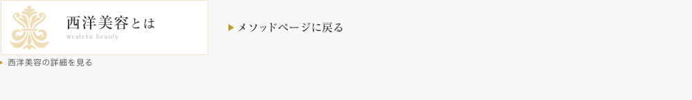 西洋美容とは