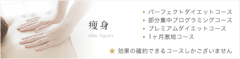 痩身メニュー/効果の確約できるコースしかございません。
