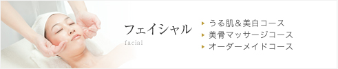 フェイシャルメニュー
